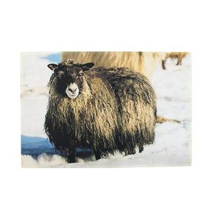 Rohožka ke dveřím Islandská ovce - 75*50*1cm RARMSNIJS obraz