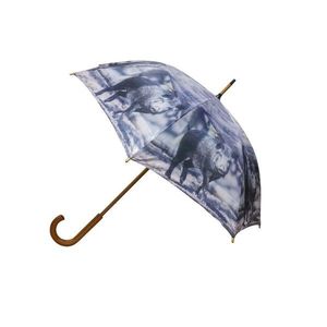 Deštník s potiskem divokého prasete - 105*105*88cm BBPWZN obraz