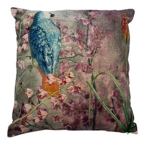Modro- růžový sametový polštář okouzlující papoušek - 45*45*15cm MRKSCPBR obraz