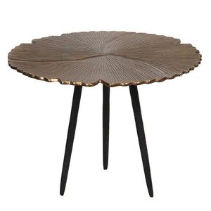 Odkládací stolek s vějířovitým designem Coquilles – Ø 50*36 cm 64627M obraz