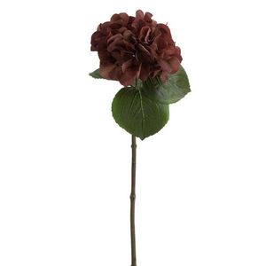 Hnědá dekorační květina Hortenzie - 17*62 cm 87862 obraz