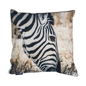 Sametový polštář Zebra - 45*45*10cm MRKSFJZ obraz