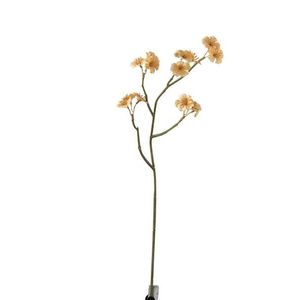 Větvička s béžovými květy Tweedia - 7*10*51 cm 97293 obraz