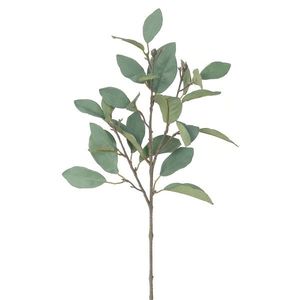 Umělá větev Magnolie zeleno-šedá, 62 cm obraz