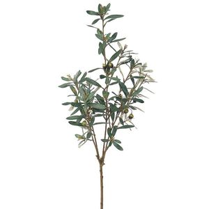 Umělá větev Olivovníku zelená, 81 cm obraz