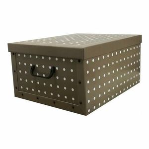 Compactor Skládací úložná krabice Compactor Riivoli - karton box 50 x 40 x 25 cm obraz