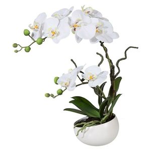 Umělá Orchidej v květináči bílá, 42 cm 115812-40 obraz