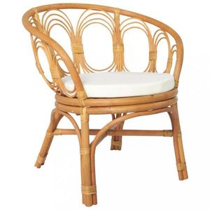 Jídelní židle přírodní ratan / plátno Dekorhome Hnědá obraz