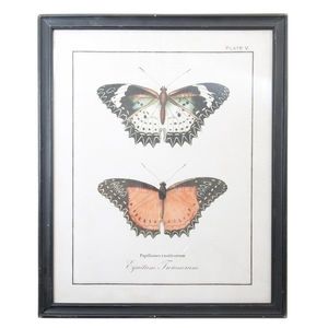 Černý dřevěný nástěnný obraz s motýly - 65*2*80 cm 50237 obraz