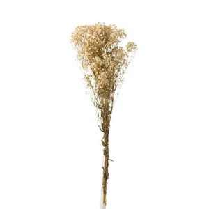 Svazek přírodní sušené trávy Gypsophila - 10*5*84 cm 12367 obraz