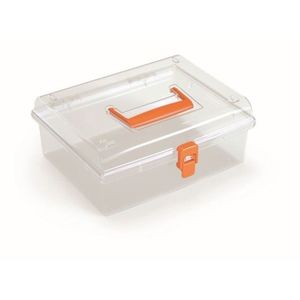 Prosperplast Organizér GEORG 24, 5 x 21, 4 x 10 cm oranžový obraz