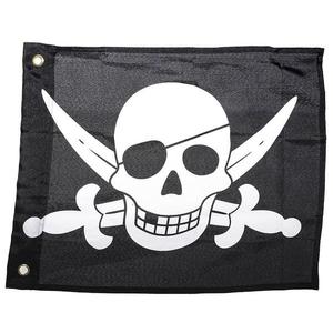 Pirátská vlajka obraz