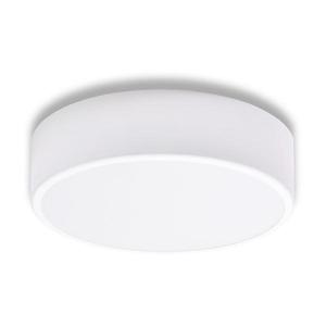 Koupelnové stropní svítidlo CLEO 2xE27/24W/230V pr. 30 cm bílá IP54 obraz
