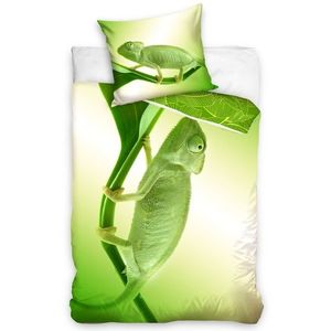 BedTex Bavlněné povlečení Zelený Chameleon, 140 x 200 cm, 70 x 90 cm obraz