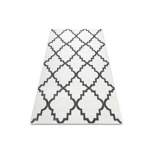 Dywany Lusczow Kusový koberec SKETCH CAMERON bílý /šedý trellis, velikost 120x170 obraz