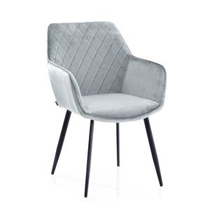 HOMEDE Designová židle Vialli stříbrná, velikost 60x42x84 obraz