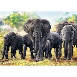 Puzzle Trefl 10442 Afričtí sloni 1000 dílků obraz