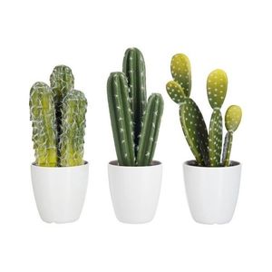 Sada 3 kaktusů v květináčích - Ø 11*26cm 60583 obraz