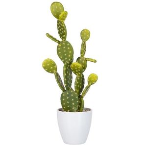 Okrasný kaktus v květináči - 18*14*53cm 60585 obraz