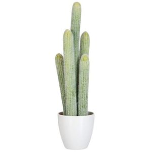 Okrasný kaktus v květináči - 16*14*54cm 60586 obraz
