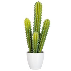 Okrasný kaktus v květináči - 20*15*50cm 60584 obraz