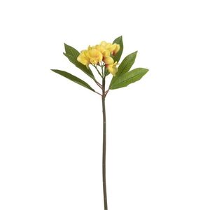 Větvička se žlutými květy Amarillo - 73*19 cm 93907 obraz