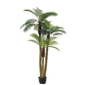 Okrasná trojitá palma v květináči Palm - Ø180*300cm 93119 obraz