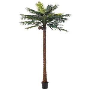 Okrasná palma v květináči Palm - Ø190*350cm 93118 obraz