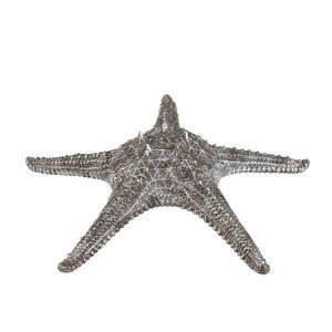 Dekorativní šedo stříbrná mořská hvězdice - 37*37*10 cm 2074 obraz