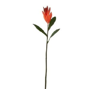 Oranžová květina Lily - 51cm 2555 obraz