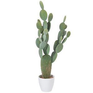 Kaktus v květináči Xlarge - 60*25*130cm 67039 obraz