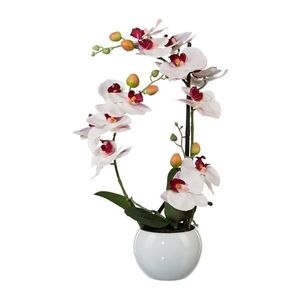 Umělá Orchidej v keramickém květináči bílá, 42 cm 1118033-10 obraz