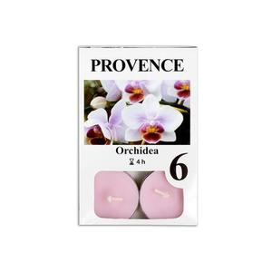 Provence Čajová svíčka 6ks orchidea obraz