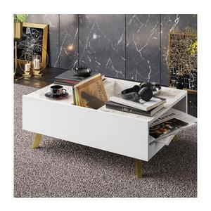 Konferenční stolek FRIDA 63x90 cm bílá/zlatá obraz