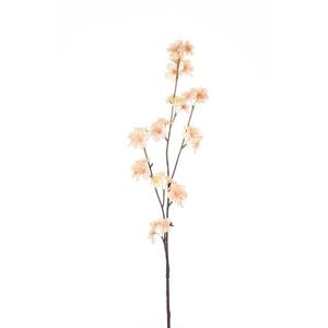 Větvička s lososovými květy Blossom - 80 cm 51740 obraz