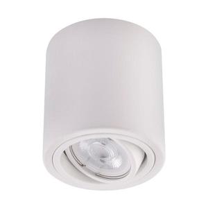 LED Bodové svítidlo TUBA 1xGU10/5W/230V 2700K bílá obraz