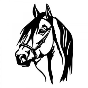 Hanah Home Nástěnná kovová dekorace Kůň 40x55 cm černá obraz