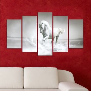 Hanah Home Vícedílný obraz White Horse 110x60 cm obraz