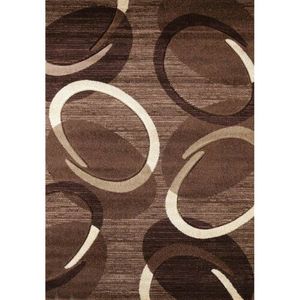Spoltex Kusový koberec Florida 9828/02 brown obraz
