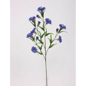 Umělé květy chrpa, modrá obraz