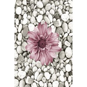 Conceptum Hypnose Koberec Bloom 60x100 cm šedý/růžový obraz
