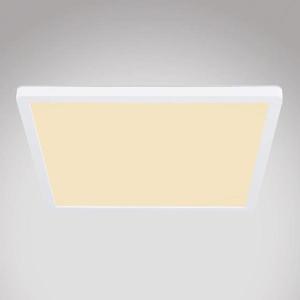 Stropni Svitidlo 41563-24W LED bílý PL obraz