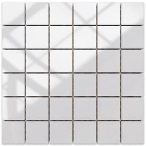 Mozaika Blanco Brillo (4, 8x4, 8) 30/30 obraz