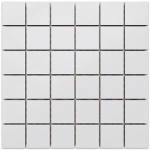 Mozaika Blanco Mate (4, 8x4, 8) 30/30 obraz