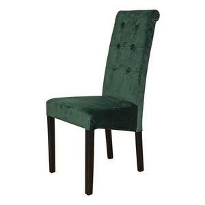 Jídelní židle FUCHSIA zelená/černá obraz
