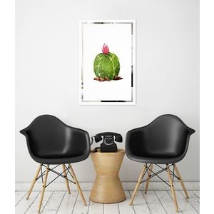 Obraz Kaktus na zrcadle Mirrora 67 - 60x40 cm (Obrazy Mirrora) obraz