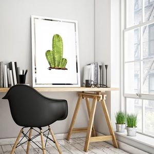 Obraz Kaktus na zrcadle Mirrora 68 - 60x40 cm (Obrazy Mirrora) obraz