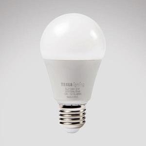 LED žárovka Bulb 12W E27 4000K obraz