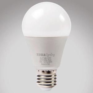 LED žárovka Bulb 12W E27 6500K obraz