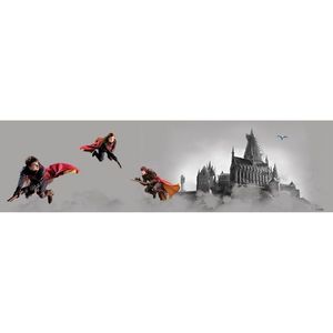 Samolepicí bordura Harry Potter Famfrpál, 500 x 9, 7 cm obraz